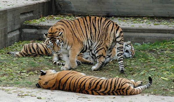 DSC_0018_edited-1