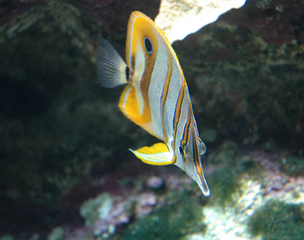 DSC_0028_edited-1
