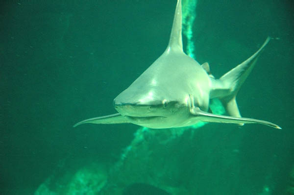 DSC_0034_edited-1