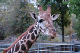 DSC_0020_edited-1