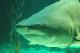 DSC_0030_edited-1